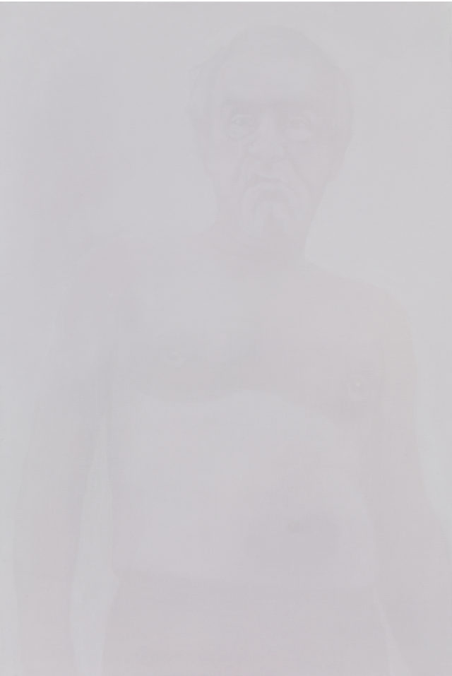 Luc Andrié, Dogodela, coquille d'oeuf, 2011, 83x56cm