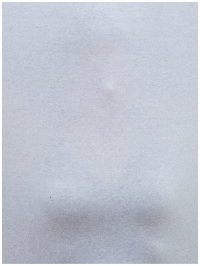 Anne Rochat, Bestiaire Dominus, asini et alii, Attaquante de pointe, cc/AR