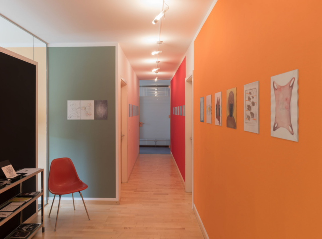 Sandrine Pelletier & Alain Huck, Capitule, vue d'exposition, © Matthieu Gafsou