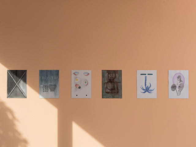 Sandrine Pelletier & Alain Huck, Capitule, vue d'exposition, © Matthieu Gafsou