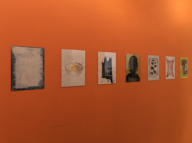 Sandrine Pelletier & Alain Huck, Capitule, vue d'exposition, © Matthieu Gafsou