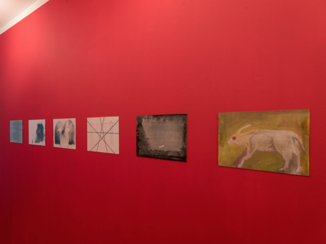 Sandrine Pelletier & Alain Huck, Capitule, vue d'exposition, © Matthieu Gafsou