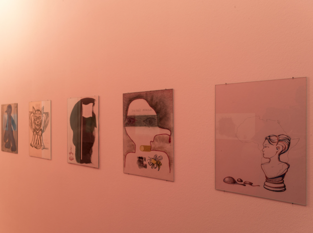 Sandrine Pelletier & Alain Huck, Capitule, vue d'exposition, © Matthieu Gafsou