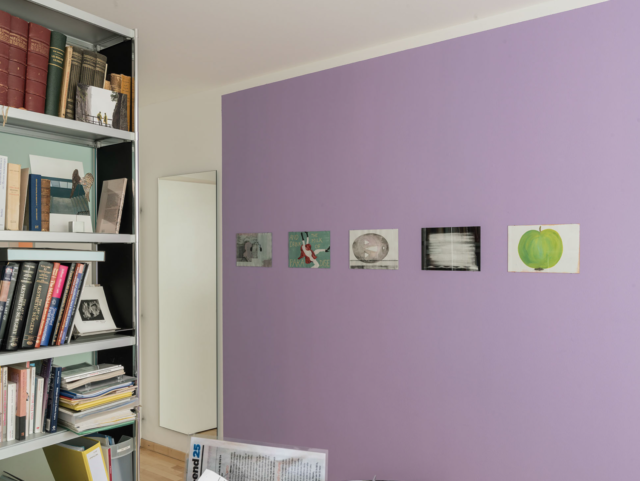 Sandrine Pelletier & Alain Huck, Capitule, vue d'exposition, © Matthieu Gafsou