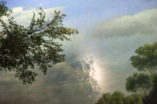 Graziella Antonini, photographies, sans titre, de la série Peony Heaven