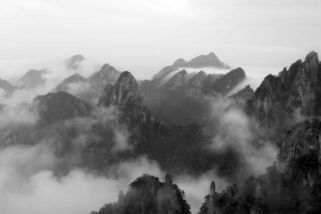 Graziella Antonini, photographies, sans titre, de la série Peony Heaven