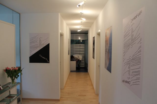 Gilles Furtwängler, vue d'exposition