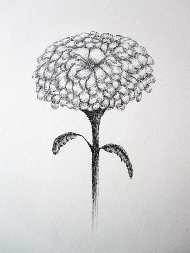 Cendrine Colin, Pause Estivale, vue d'exposition