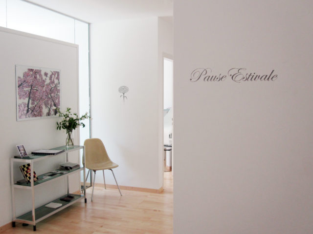 Cendrine Colin, Pause Estivale, vue d'exposition