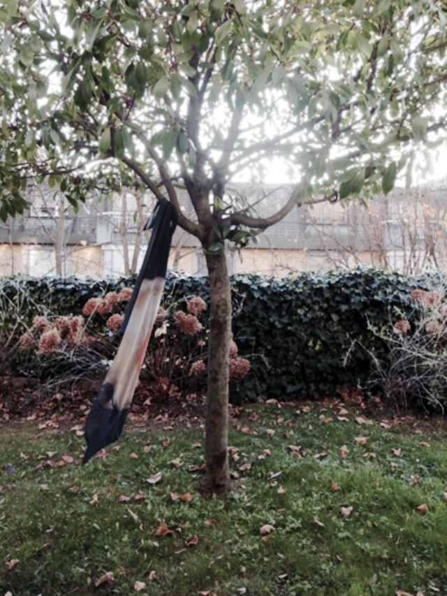 Jacques Bonnard, vue d'exposition
