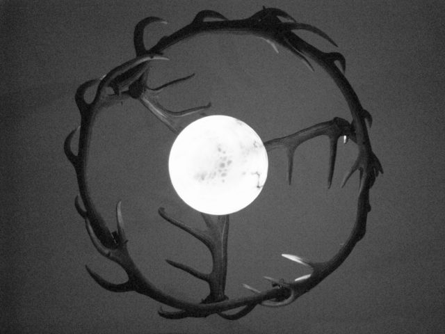 Graziella Antonini, photographies, ALCINA II, 2010