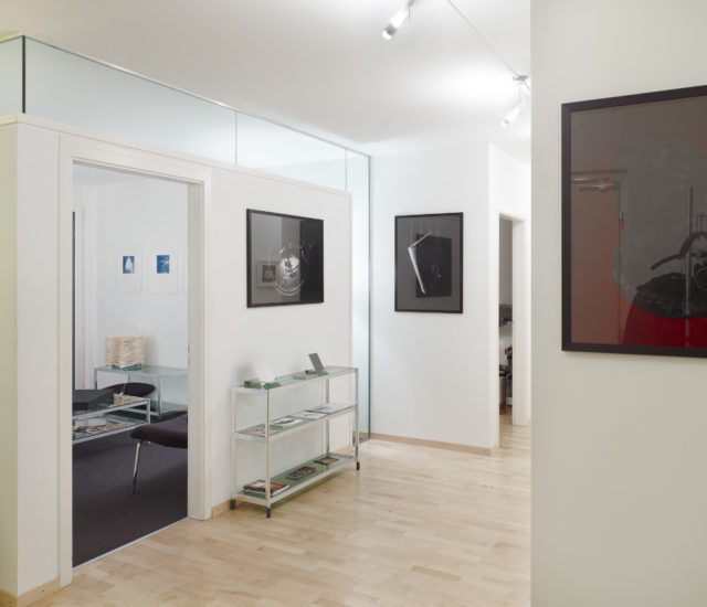 David Gagnebin-de Bons, Plusieurs états, vue d'exposition