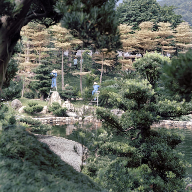 Graziella Antonini, photographies, sans titre, de la série ALCINA - les curiosités, travail en cours, dates diverses