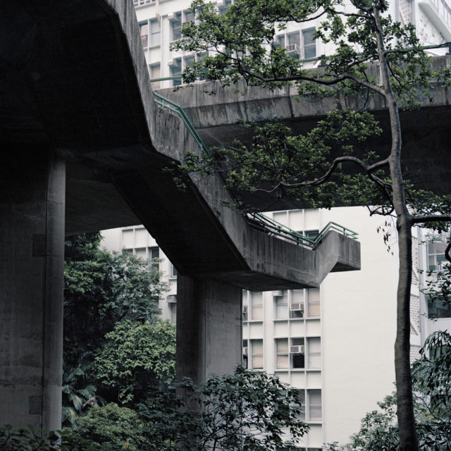 Graziella Antonini, photographies, sans titre, de la série ALCINA - les curiosités, travail en cours, dates diverses