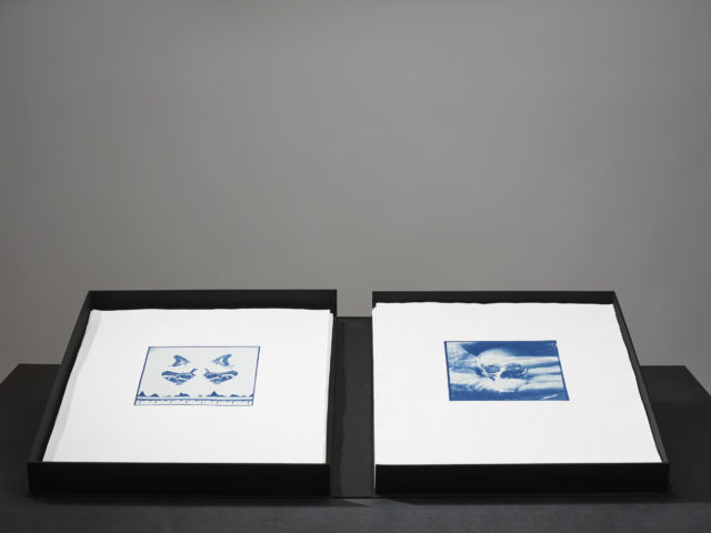 David Gagnebin-de Bons, Plusieurs états, vue d'exposition