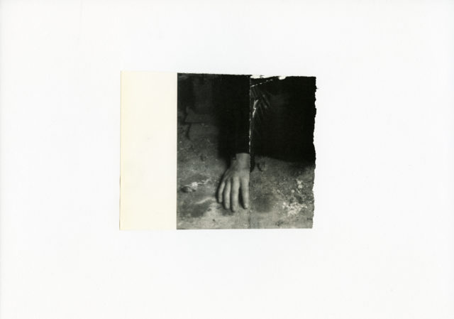 Elise Gagnebin-de Bons, WHAT I SEE, vue d'exposition