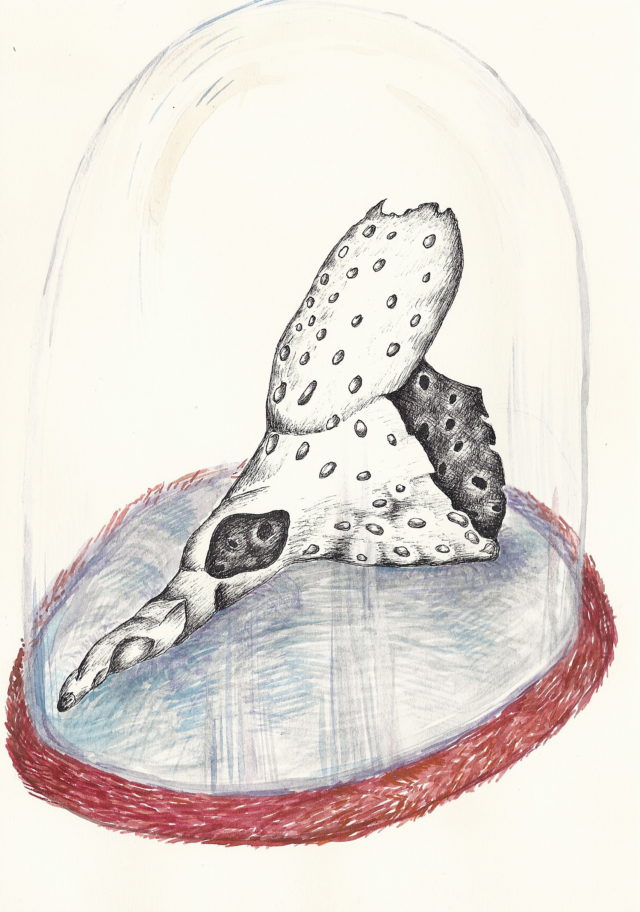 Sylvie Mermoud & Pierre Bonard, ain't no mountain high enough, dessin à l'aquarelle et encre de chine