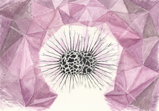 Sylvie Mermoud & Pierre Bonard, ain't no mountain high enough, dessin à l'aquarelle et encre de chine