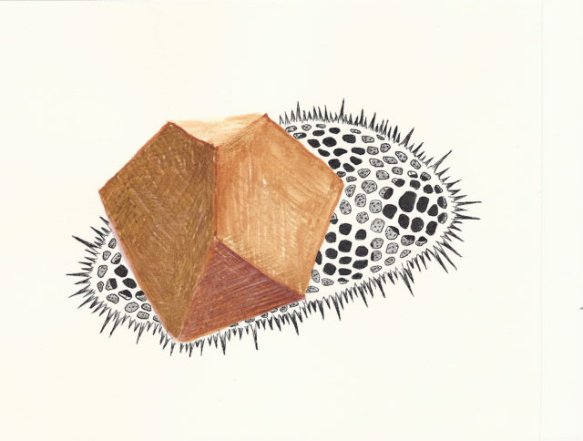 Sylvie Mermoud & Pierre Bonard, ain't no mountain high enough, dessin à l'aquarelle et encre de chine