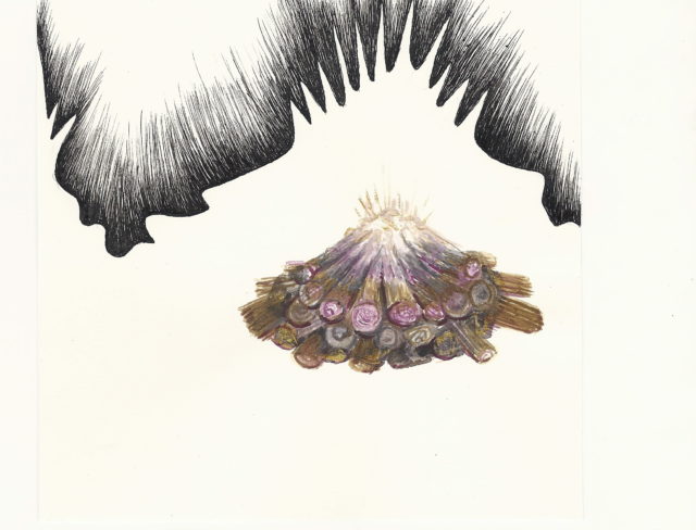 Sylvie Mermoud & Pierre Bonard, ain't no mountain high enough, dessin à l'aquarelle et encre de chine