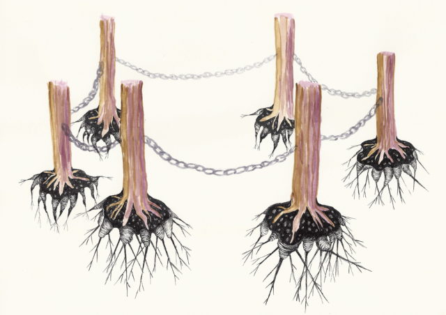 Sylvie Mermoud & Pierre Bonard, ain't no mountain high enough, dessin à l'aquarelle et encre de chine