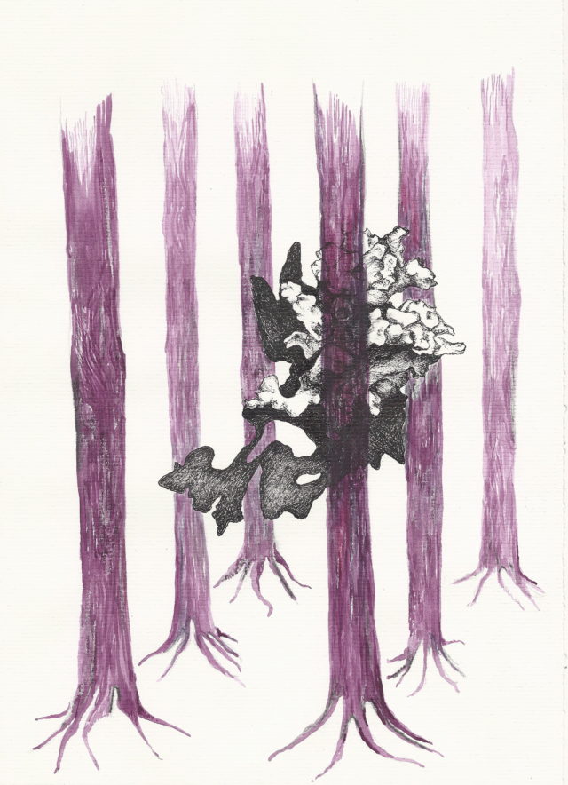 Sylvie Mermoud & Pierre Bonard, ain't no mountain high enough, dessin à l'aquarelle et encre de chine