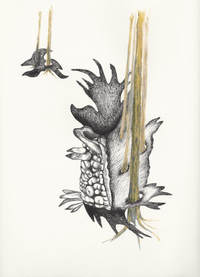 Sylvie Mermoud & Pierre Bonard, ain't no mountain high enough, dessin à l'aquarelle et encre de chine