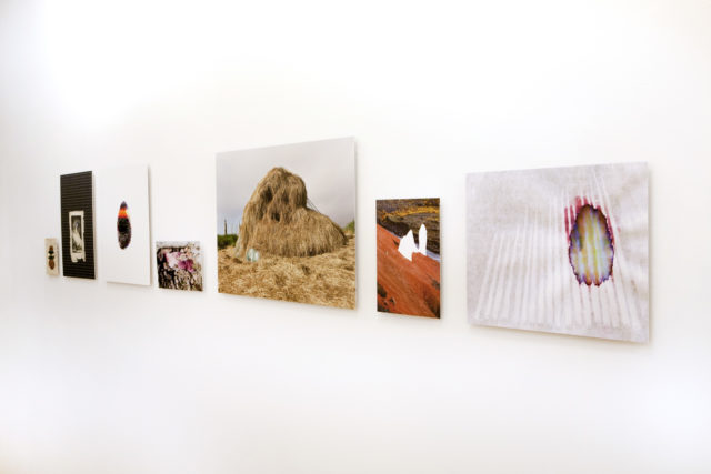 Shannon Guerrico, Bifröst, vue d'exposition