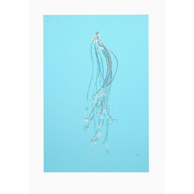 COVID 19 – Valentin 61 soutient les artistes indépendants