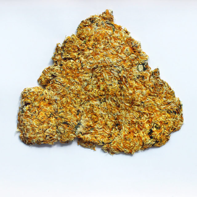 COVID 19 – Valentin 61 soutient les artistes indépendants