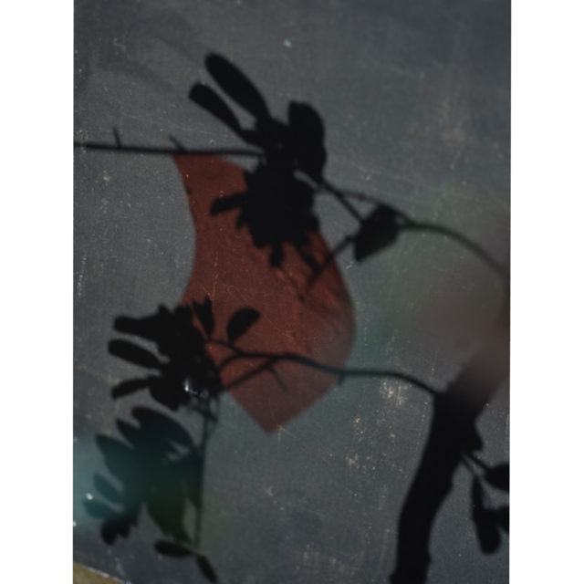 COVID 19 – Valentin 61 soutient les artistes indépendants