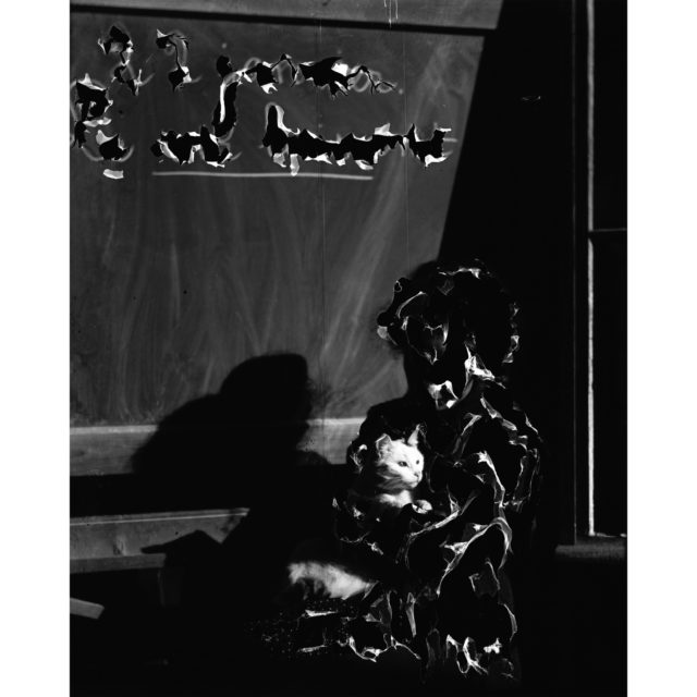 COVID 19 – Valentin 61 soutient les artistes indépendants