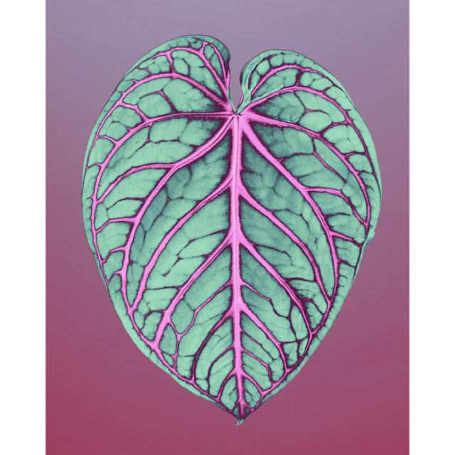 COVID 19 – Valentin 61 soutient les artistes indépendants