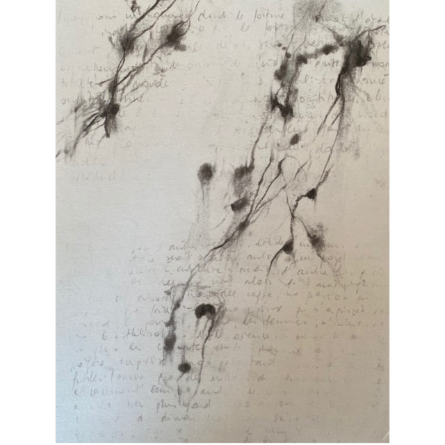 COVID 19 – Valentin 61 soutient les artistes indépendants