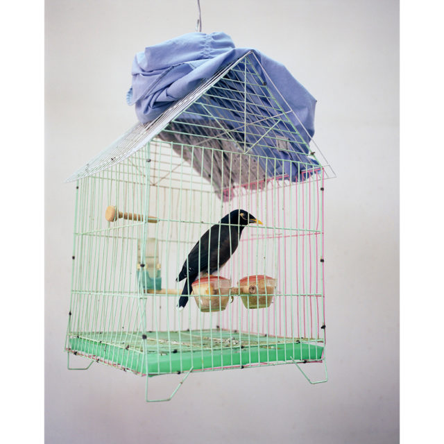 COVID 19 – Valentin 61 soutient les artistes indépendants