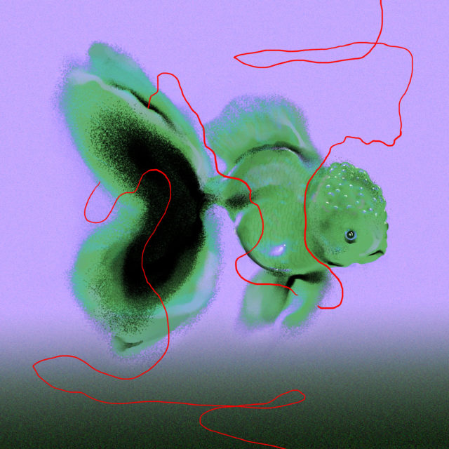 COVID 19 – Valentin 61 soutient les artistes indépendants