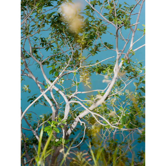 February Blues 1-28 – Valentin 61 soutient les artistes indépendants