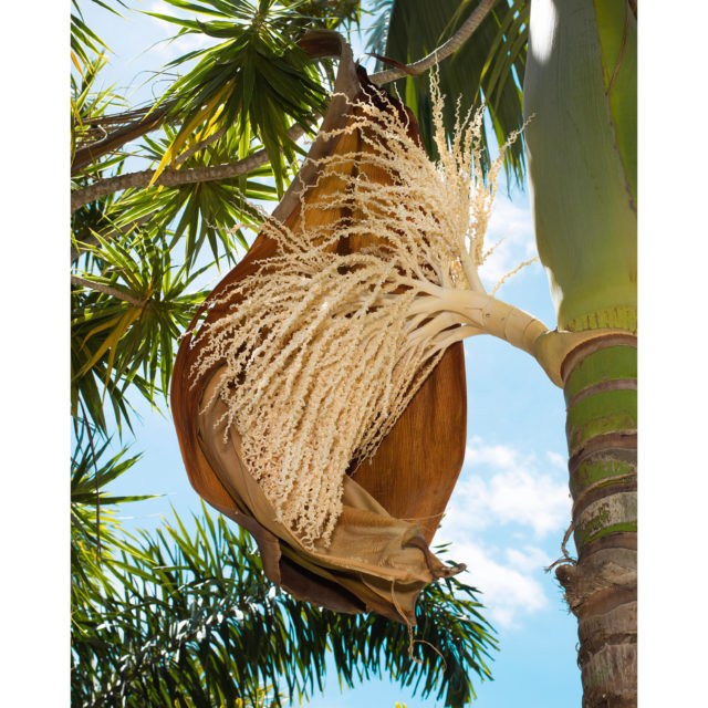 February Blues 1-28 – Valentin 61 soutient les artistes indépendants