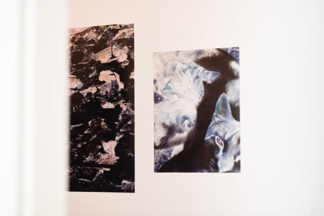 Céline Burnand, Un homme une fois mordu par un serpent craint chaque bout de corde