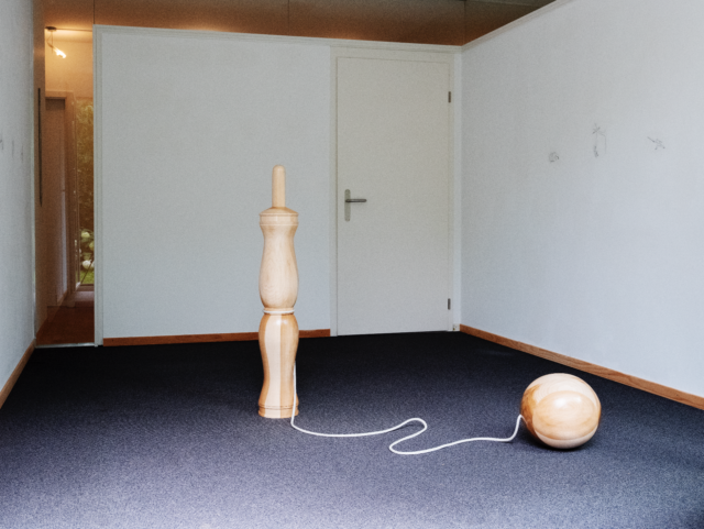 Yan Pavlik, Playstation 2