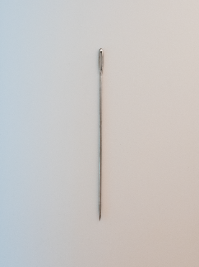 Yan Pavlik, Playstation 2