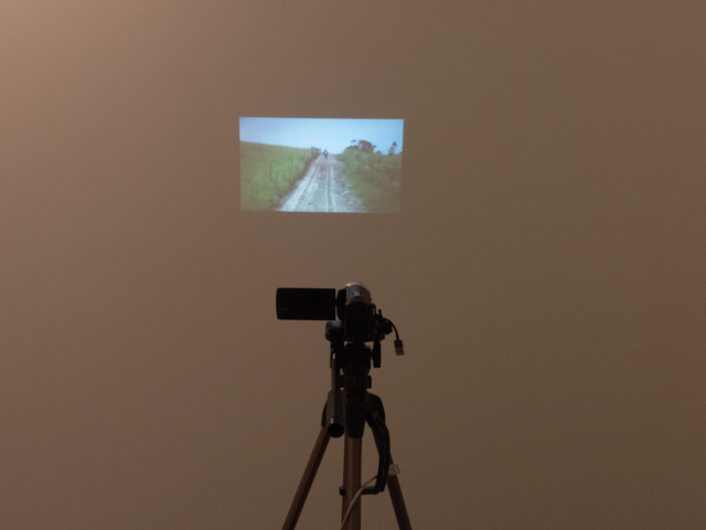 Yan Pavlik, Playstation 2