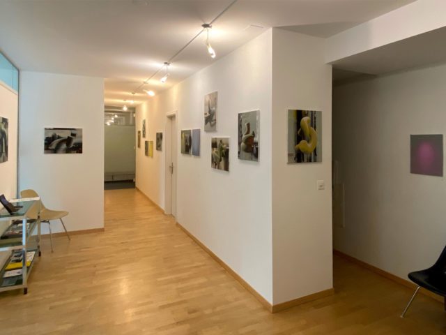 Geneviève Capitanio, Studio 91