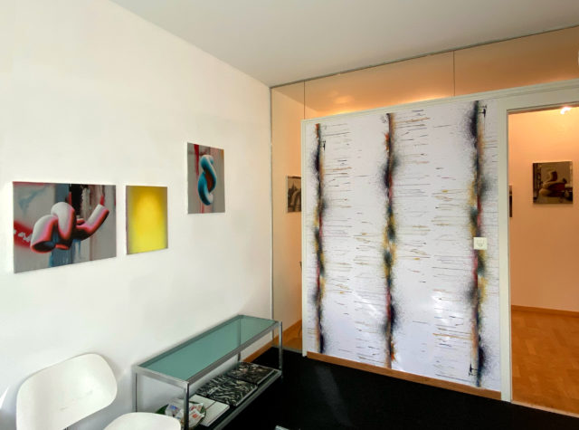 Geneviève Capitanio, Studio 91