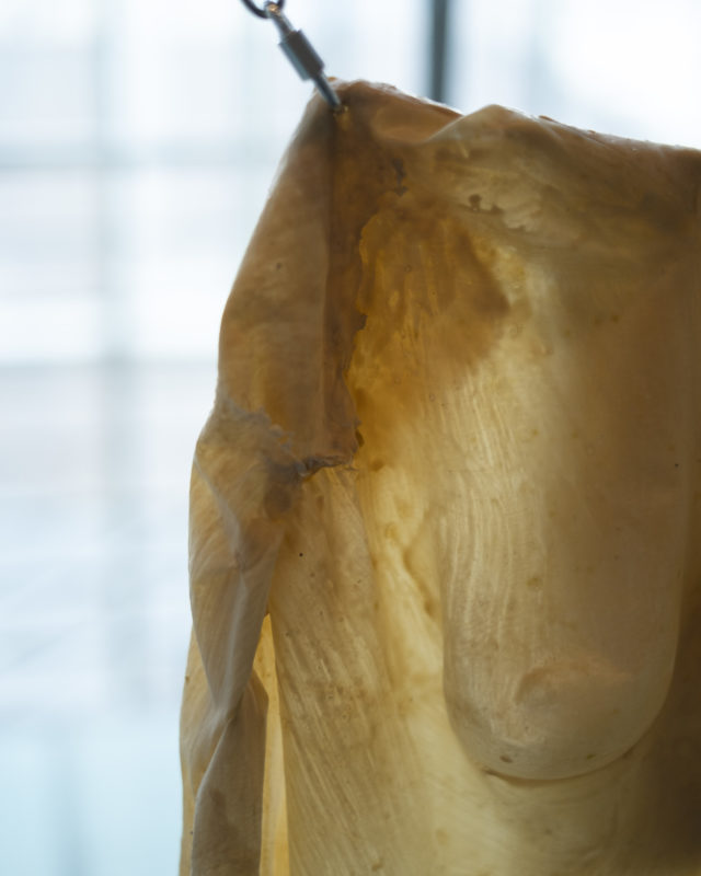 État des lieux – Expositions des espaces d’arts indépendants Lausannois