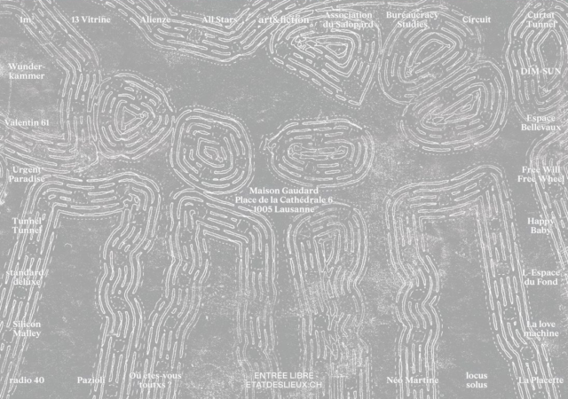 État des lieux – Expositions des espaces d’arts indépendants Lausannois