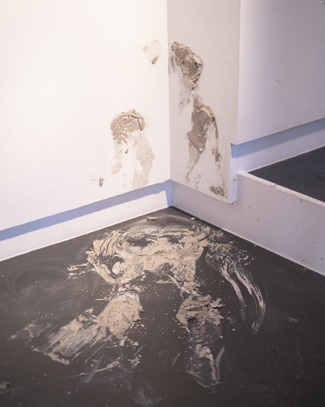 État des lieux – Expositions des espaces d’arts indépendants Lausannois