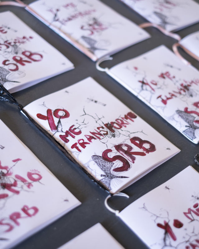 État des lieux – Expositions des espaces d’arts indépendants Lausannois