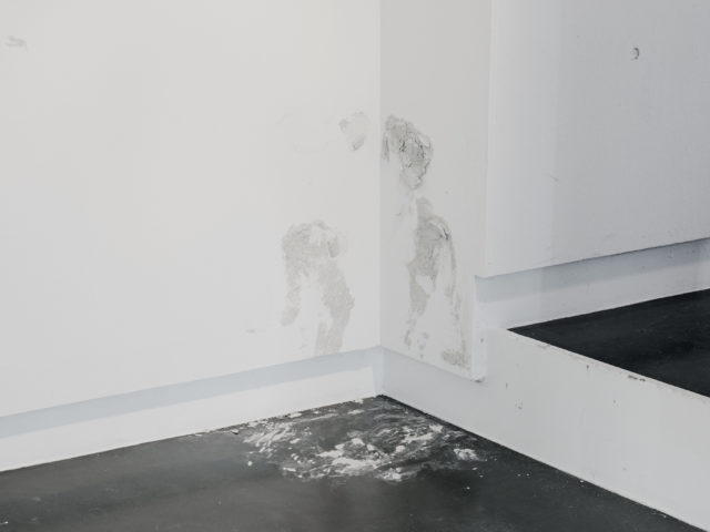 État des lieux – Expositions des espaces d’arts indépendants Lausannois