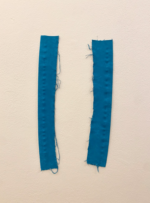 Anjesa Dellova, Chutes